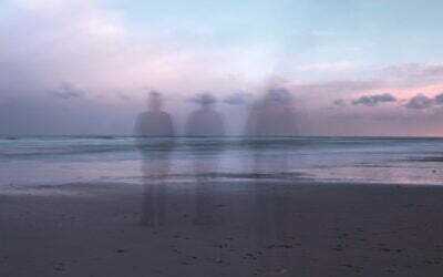 Trastornos de conducta en adultos mayores