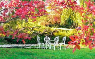 Jardín terapéutico