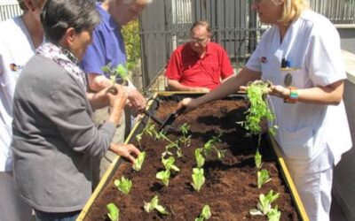 Terapias en el jardín para personas mayores