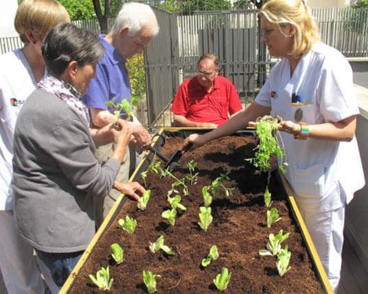 terapias-en-jardines-para-personas-mayores