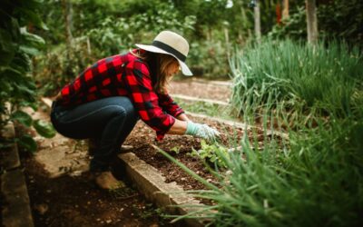 Jardines terapéuticos contra el estrés