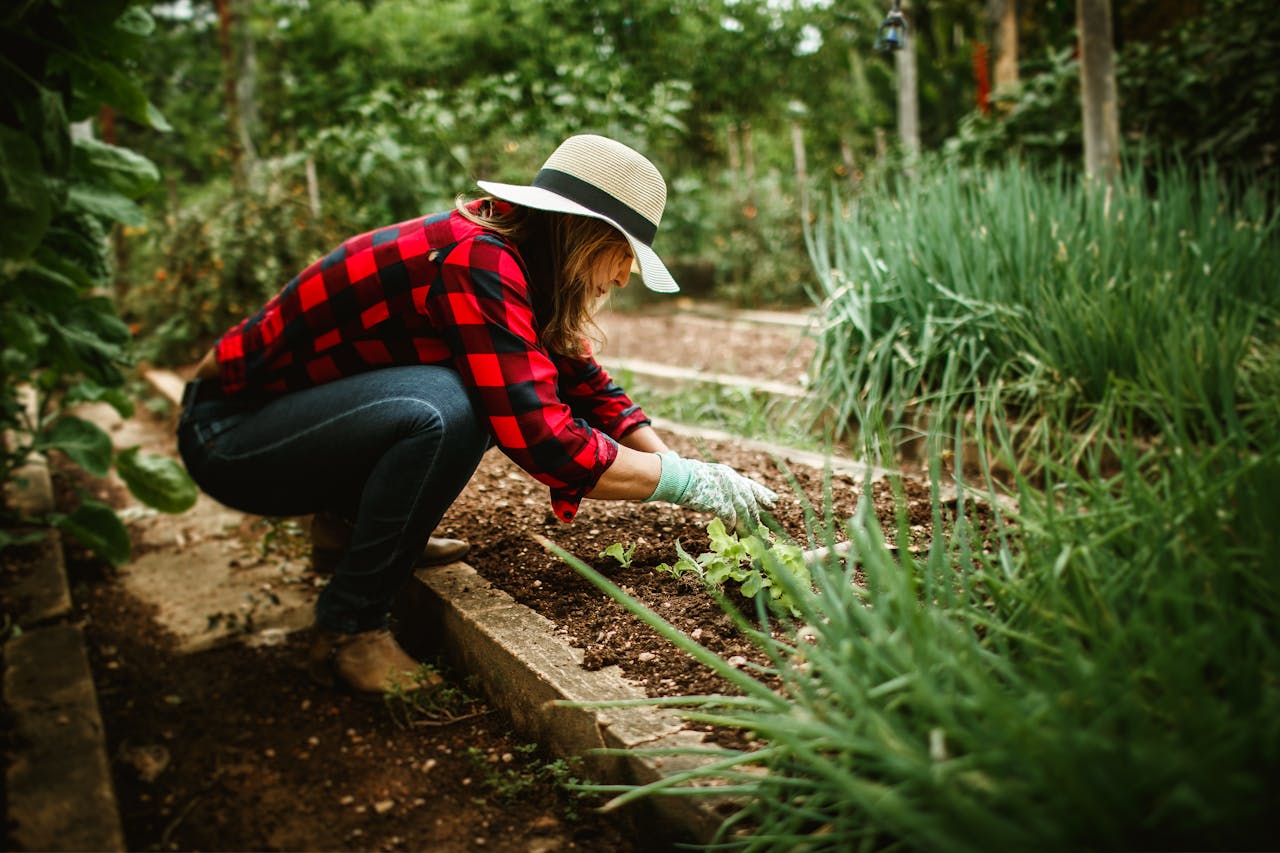 jardines terapéuticos contra el estrés