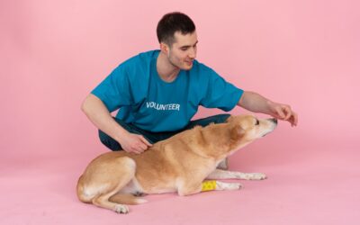 Terapia asistida con perros