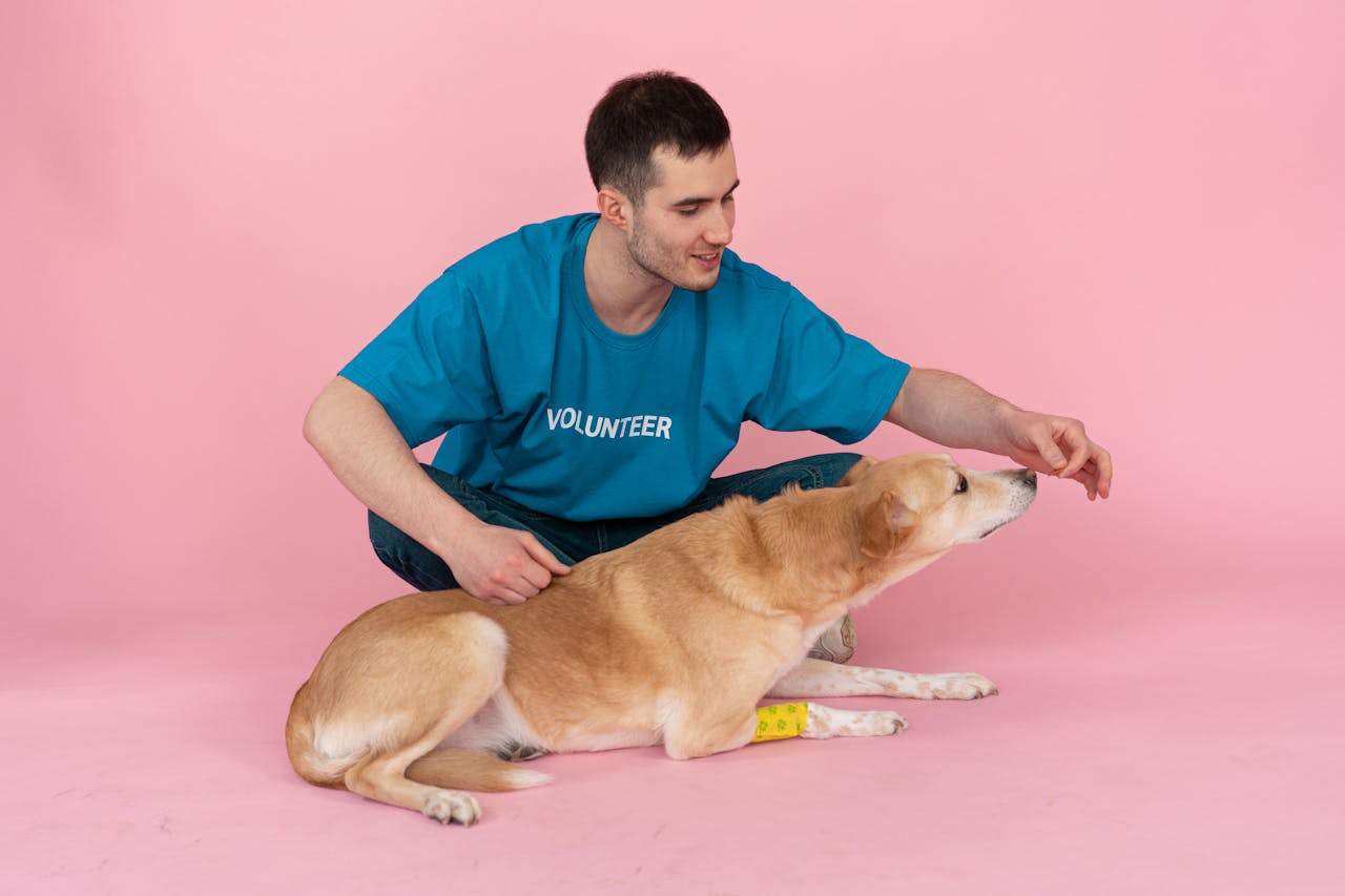 terapia asistida con perros