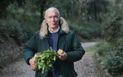 Cuántos pasos debe dar una persona mayor