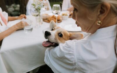 Convivir con Animales en Residencias