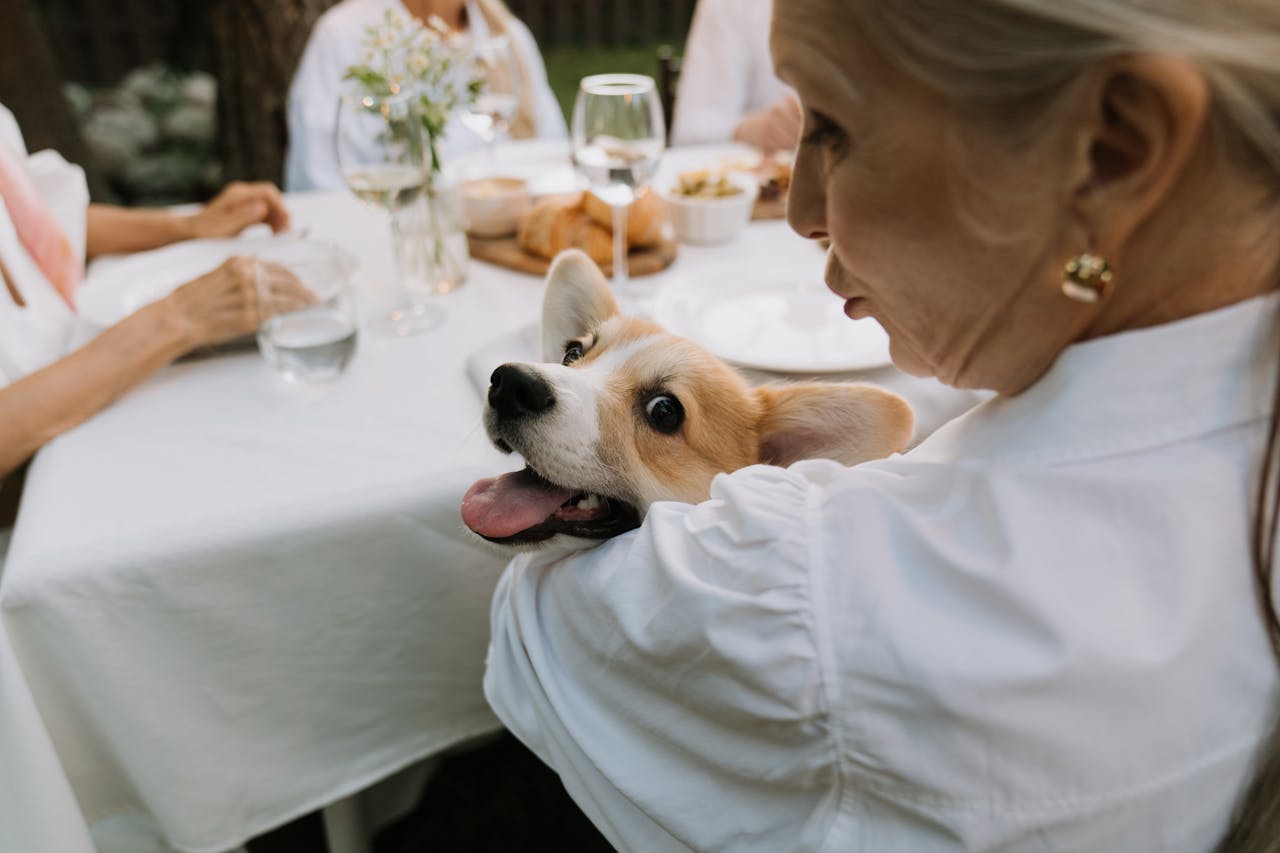 convivir con animales en residencias