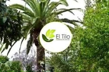 residencia de mayores el tilo-cordoba