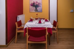 residencia-santa-matilde-en-madrid-comedor