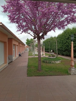 residencia santa paula porche