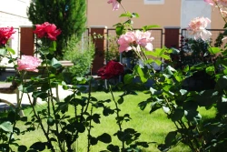 residencias de mayores en valladolid con jardin