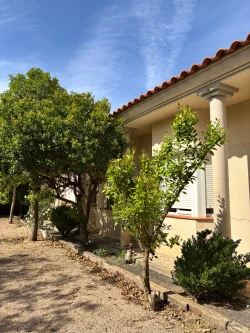 residencia dosbarrios árboles