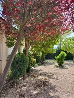 residencia dosbarrios jardín