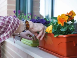 residencia-de-mayores-en-guadalajara-actividades