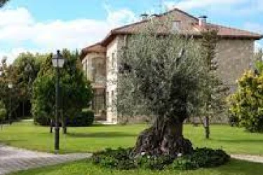 residencia de mayores elite-rabe de las calzadas-burgos