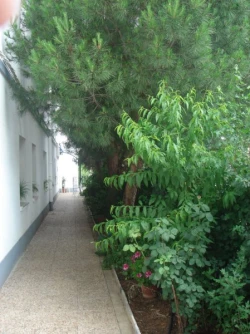 residencias de mayores en ciudad real jardin