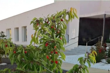 vivienda tuteladas de mayores-brazatortas-ciudad real