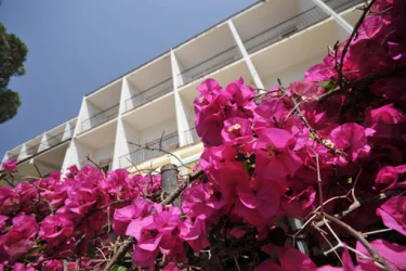 centre-assistencial-impala-barcelona