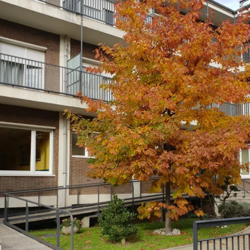 residencia de mayores sant grabiel-centelles-barcelona