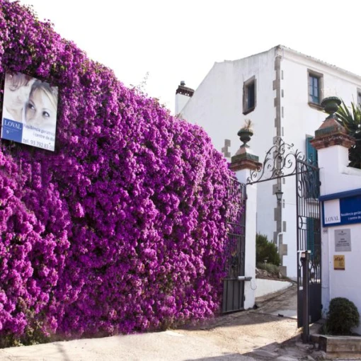 residencial y centro de dia loval-sant andreu de llavaneres-barcelona