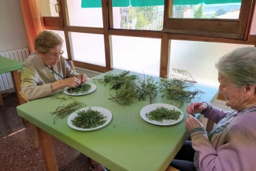 habitatges de serveis-tona-barcelona