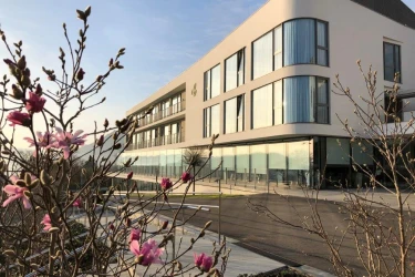 Residencia Alday Álava, Ayala