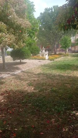 Residencia Doña Blasa Guerra Albert jardín