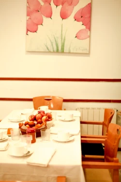 residencia-de-mayores-santa-olga-comedor