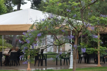 residencia_de_tercera_edad_centre_de_majors_el_mas_valencia_torrent