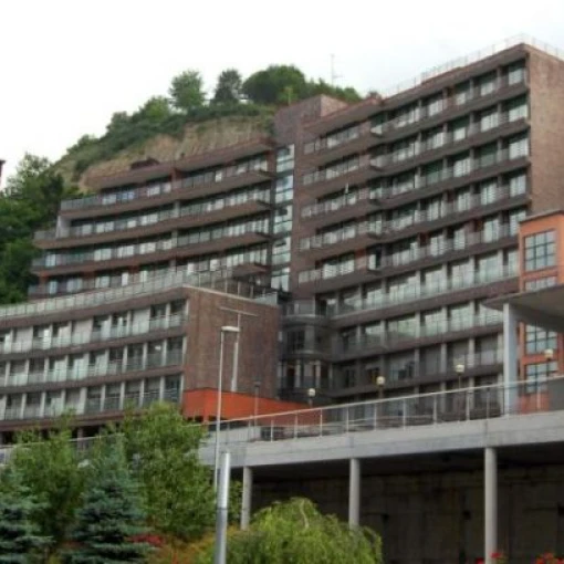 Centro Egogain
