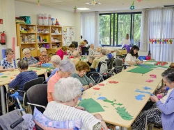 residencia las camelias mostoles actividades