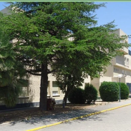 Residencia de mayores de Borja