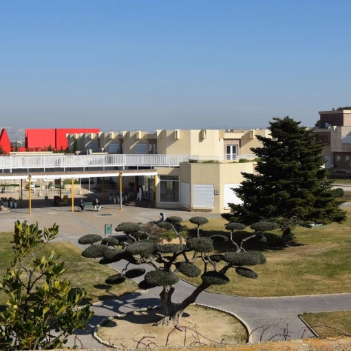 Centro Neuropsiquiátrico Nuestra Señora del Carmen