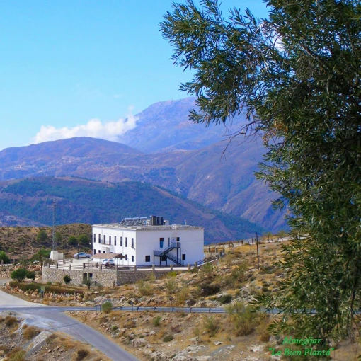 residencia-de-mayores-virgen-de-los-remedios-almegijar