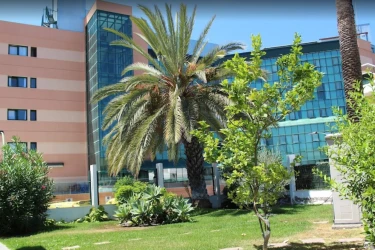 Privilegium San Fernando