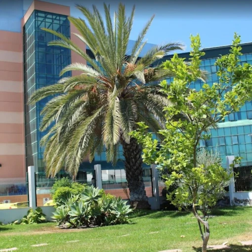 Privilegium San Fernando