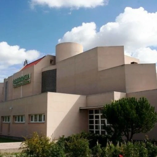 fundacion_benefico_social_santa_maria_de_los_martires_valladolid_iscar