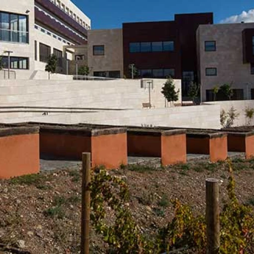 Centro Residencial Fray Leopoldo