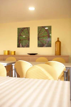 viviendas tuteladas en pontevedra salón