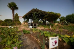 residencias-ancianos-granada-huerto-terapia