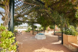 residencias-ancianos-granada-jardin