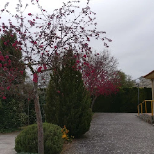 residencia hogar maria de molina-milagros-burgos
