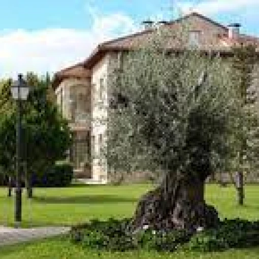 residencia de mayores elite-rabe de las calzadas-burgos