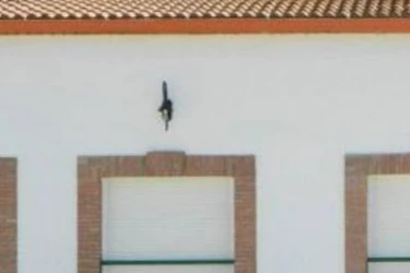 residencial geriatrico san blas-agudo-ciudad real