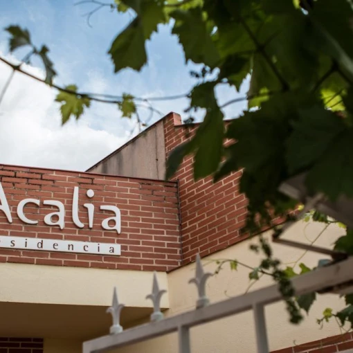 residencia de mayores acalia-malagon-ciudad real