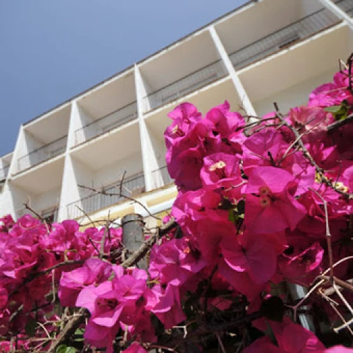 centre-assistencial-impala-barcelona