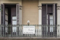 residencia geriatrica seribel-barcelona