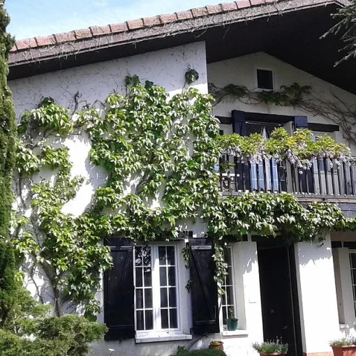 Vivienda comunitaria Ullibarri Arrazua