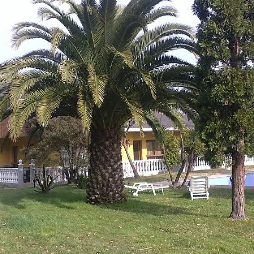 Residencia Geriátrica Perlora