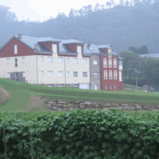 Residencia de mayores Vega de Lleirá